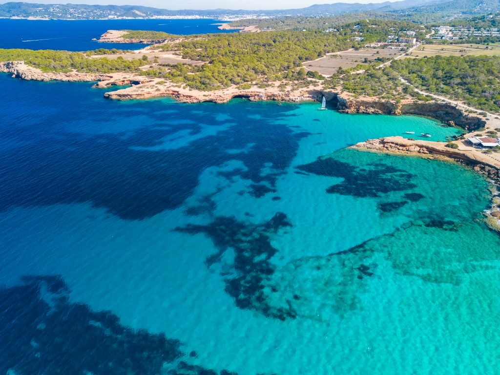 an aerial view of a body of water with land and trees